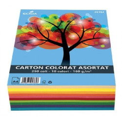 Carton color asortat 160g/mp 250 coli/top Ecada