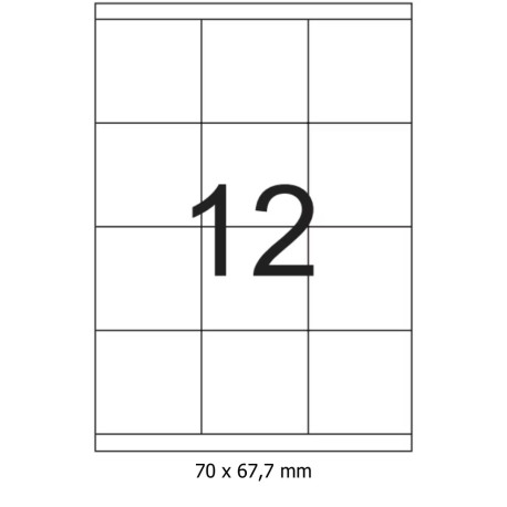 Etichete autoadezive 12/A4 