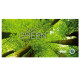 Calendar de birou Strazi
