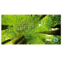 Calendar de birou Green