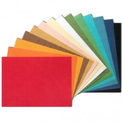 Coperti carton color imitatie piele A4 250g/mp