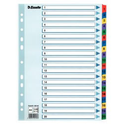 Separatoare carton color index 1-20 Mylar Esselte